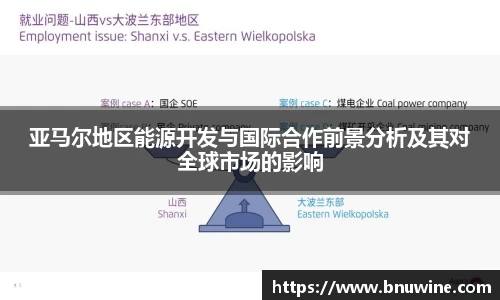 亚马尔地区能源开发与国际合作前景分析及其对全球市场的影响