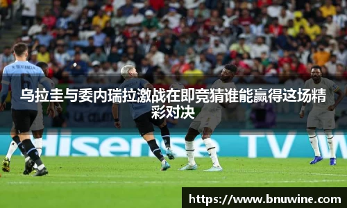 米乐m6官网